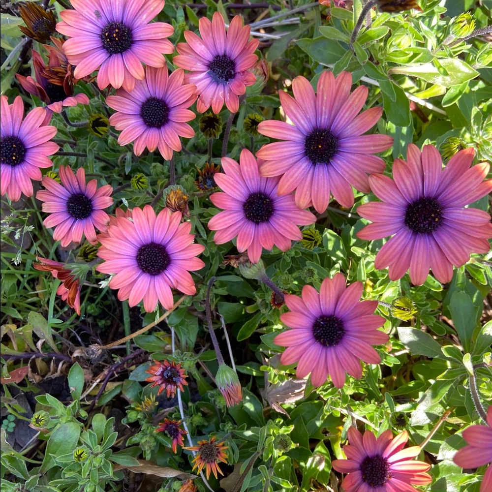 Meet your Posher, Judy